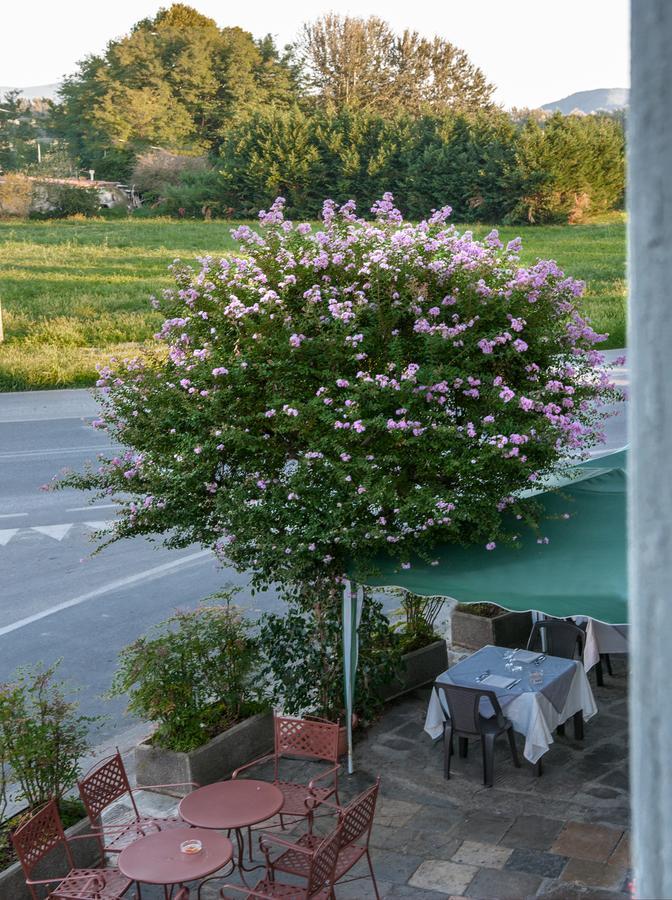 Tuscan Sun Holiday Apartments Lucques Extérieur photo